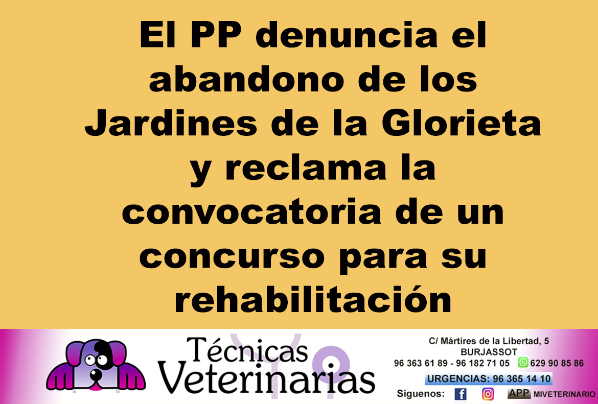 NOTICIAS_23-03_34.jpg