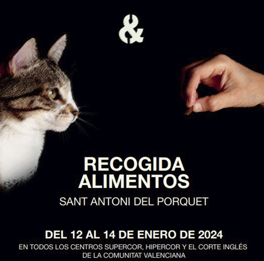 RECOGIDA.jpg